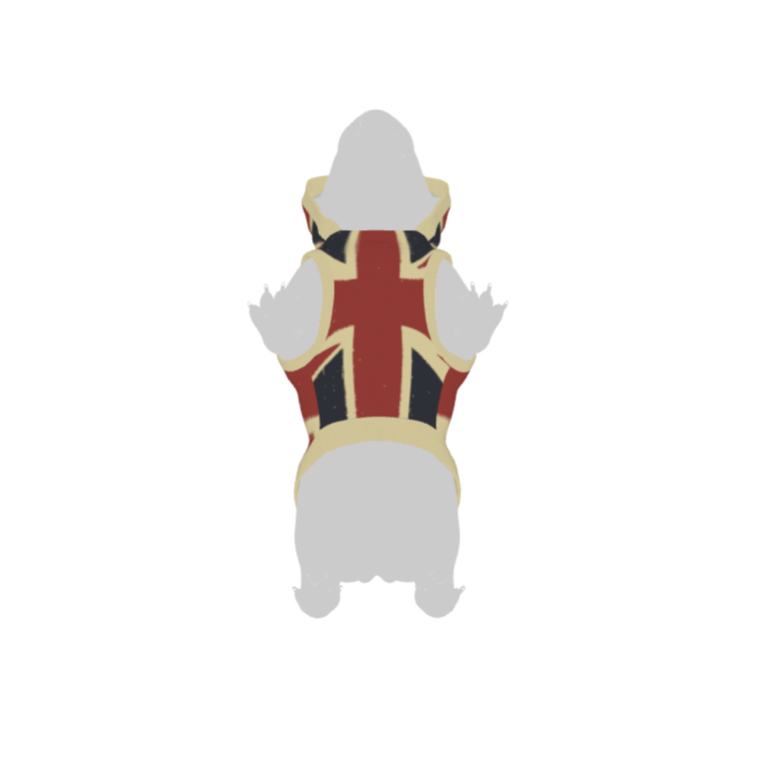 Distressed Union-Jack Dog Hoodie