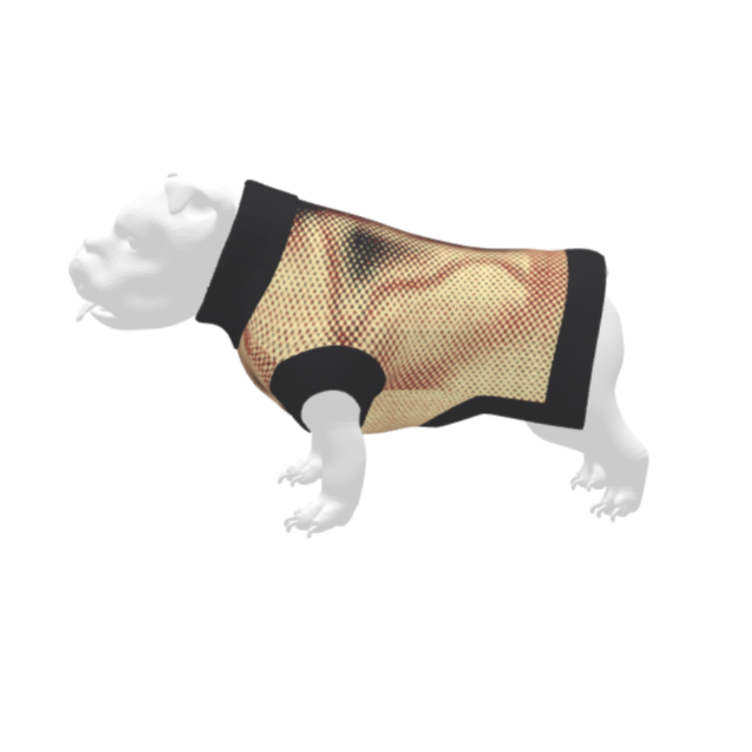 Curve-Enhancing Dog Sweater